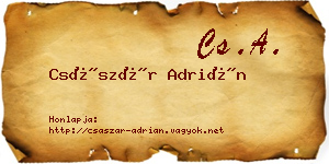 Császár Adrián névjegykártya